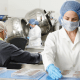 food-safety-culture